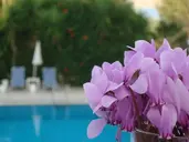 Castelli Hotel