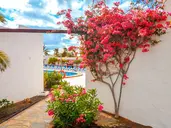 Castillo Beach Bungalows
