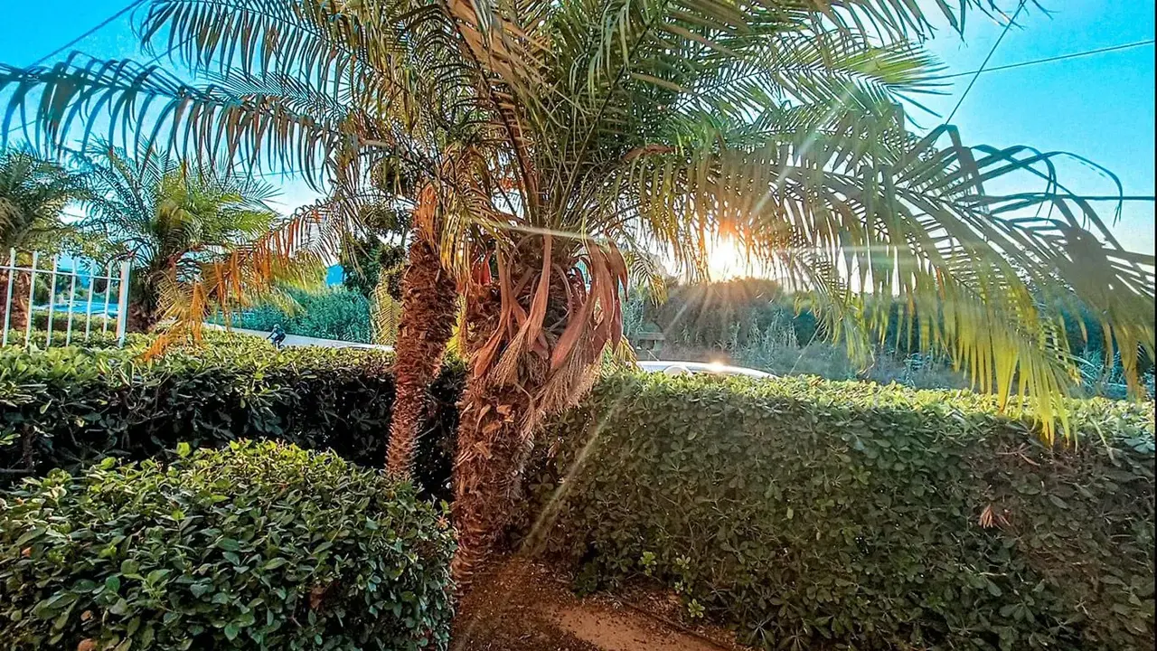 Castro