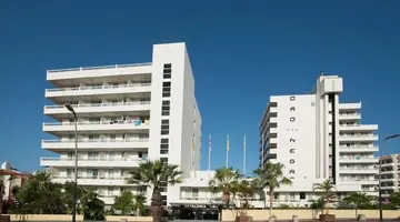 Catalonia Oro Negro