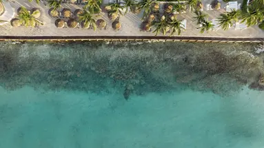 CATALONIA RIVIERA MAYA