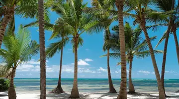 CATALONIA ROYAL BAVARO ADULTS ONLY