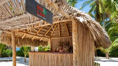 Catalonia Royal Bavaro