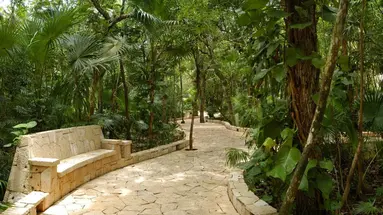 Catalonia Royal Tulum - Adults Only