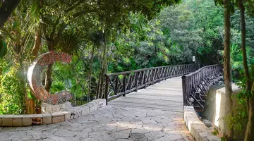 CATALONIA ROYAL TULUM ADULTS ONLY