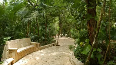 Catalonia Royal Tulum
