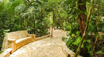 Catalonia Royal Tulum