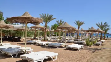 Cataract Resort
