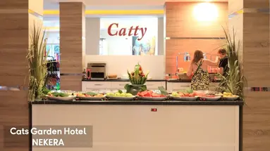 CATS CATTY GARDEN HOTEL