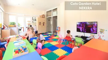 CATS CATTY GARDEN HOTEL