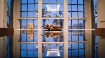 CAVALIERI HOTEL, by Radisson Individuals
