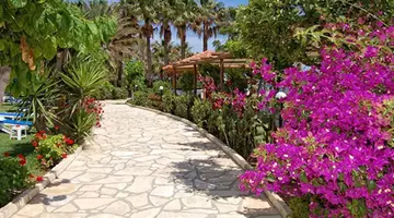 Cavo Maris Beach