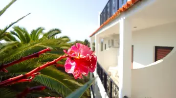 Ccb Bruskos Hotel