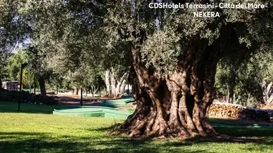 CDSHotels Terrasini
