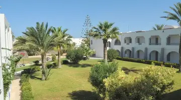 Cedriana