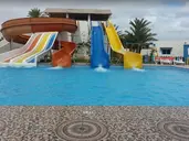 Cedriana