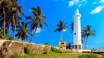 Cejlońskie Safari