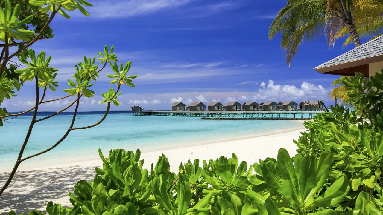 Centara Ras Fushi Resort & Spa Maldives