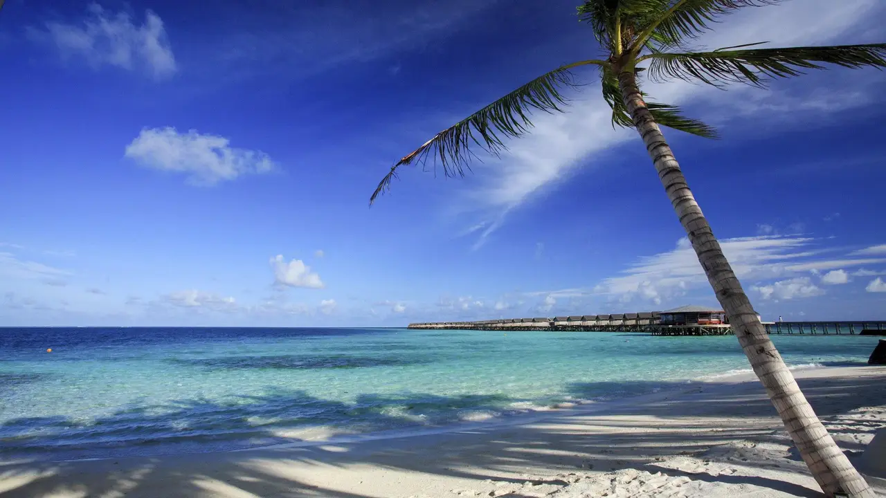 Centara Ras Fushi Resort & Spa Maldives