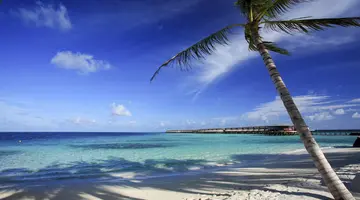 Centara Ras Fushi Resort & Spa Maldives