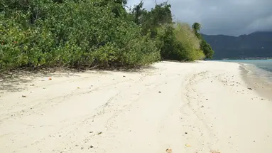 CERF ISLAND RESORT