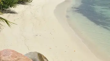 CERF ISLAND RESORT