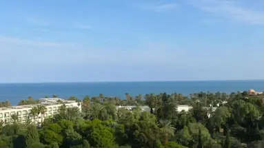 Cesar Palace