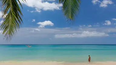 CHABANA KAMALA HOTEL