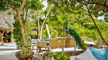 Chale Island Resort