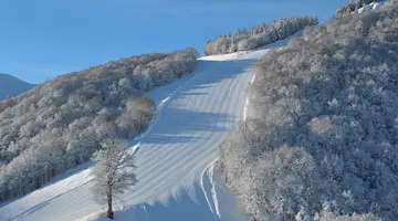 Chalet Morel