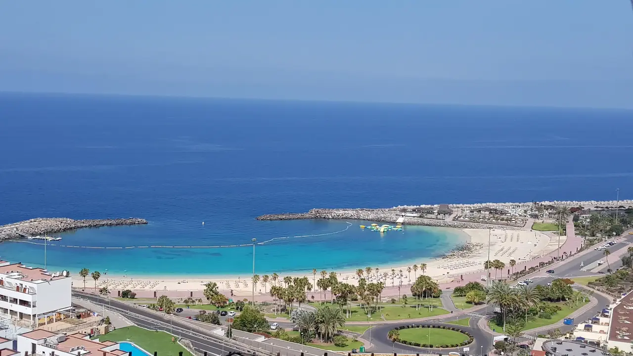 Chatur Palmera Mar