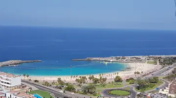 Chatur Palmera Mar