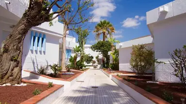 Checkin Bungalows Atlantida
