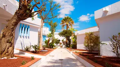 Checkin Bungalows Atlantida