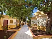 Checkin Bungalows Atlantida