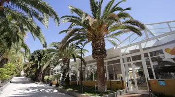 Checkin Bungalows Atlantida