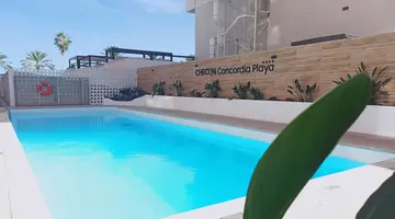 CHECKIN CONCORDIA PLAYA