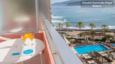 Checkin Concordia Playa