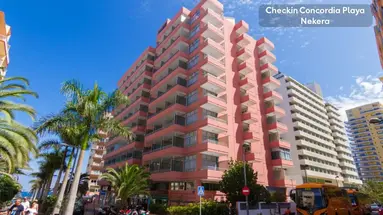 Checkin Concordia Playa