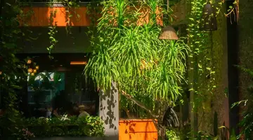 Chi House Danang Hotel