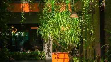 Chi House Danang Hotel