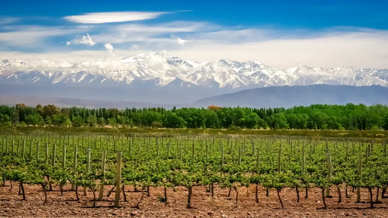 Chile, Argentyna, Urugwaj, Paragwaj, Brazylia - Pięć krajów Ameryki Południowej 2025
