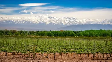 Chile, Argentyna, Urugwaj, Paragwaj, Brazylia - Pięć krajów Ameryki Południowej 2025