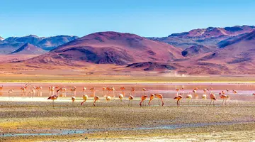 Chile, Boliwia, Peru - na szlaku piękna