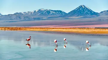 Chile, Boliwia, Peru - na szlaku piękna