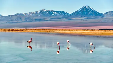 Chile, Boliwia, Peru - na szlaku piękna