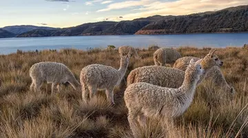 Chile z Atacamą, Boliwia, Peru - 16 dni