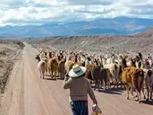 Chile z Atacamą, Boliwia, Peru - 16 dni