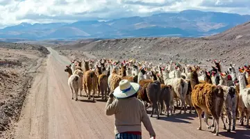 Chile z Atacamą, Boliwia, Peru - 16 dni