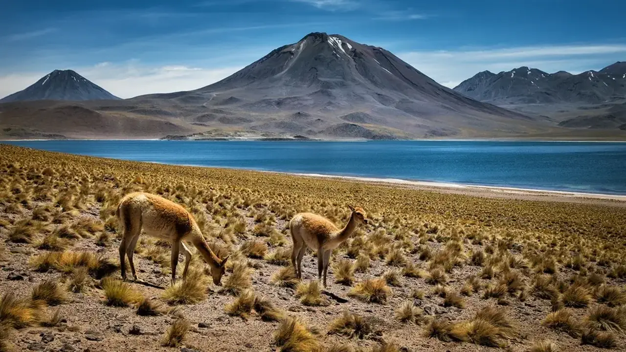 Chile z Atacamą, Boliwia, Peru - 16 dni